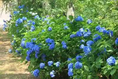 八幡神社の庭園