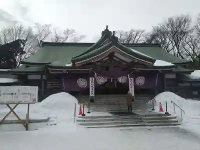 札幌護國神社の初詣