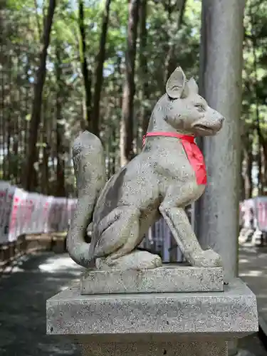 豊川閣　妙厳寺の狛犬