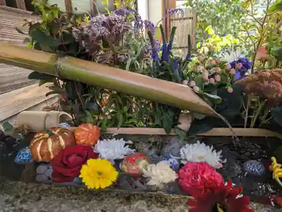 勝林寺(京都府)