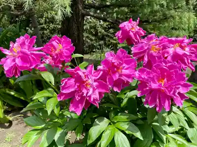 通校神社(神奈川県)