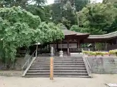 金剛寺(大阪府)