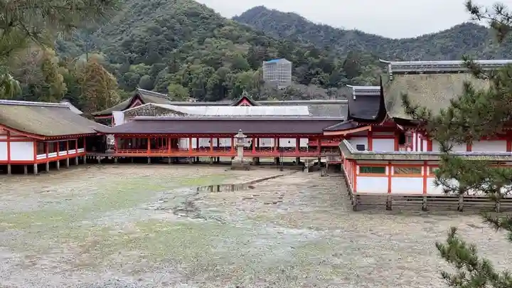 厳島神社(広島県)