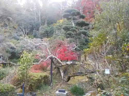 光則寺の庭園