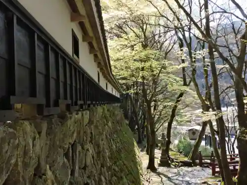 横蔵寺(岐阜県)