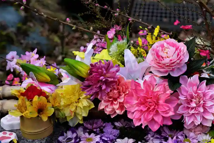 陽林寺の手水舎