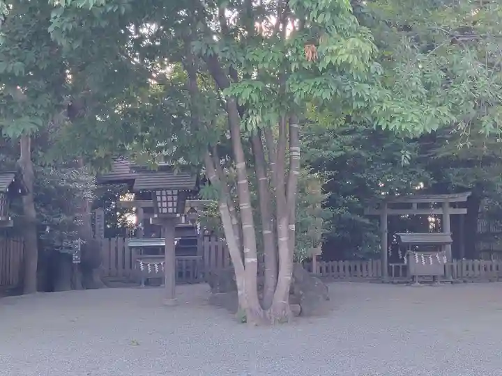 伊勢山皇大神宮の自然