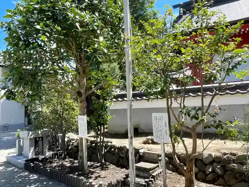 明王院(三重県)