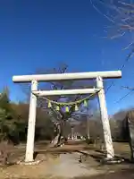 金村別雷神社の鳥居