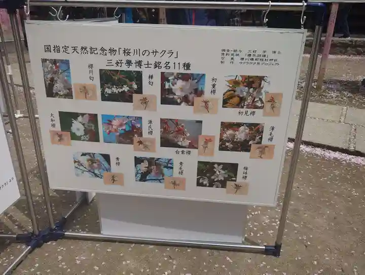 磯部稲村神社(茨城県)