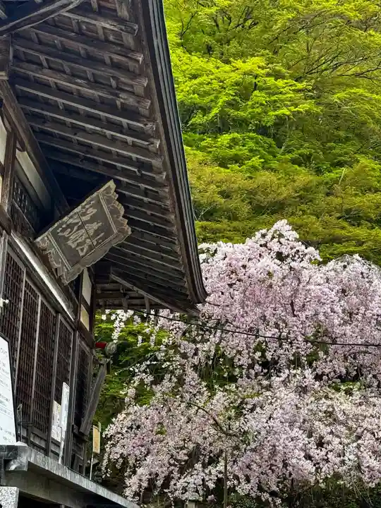 慈眼寺(京都府)