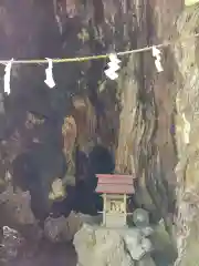 來宮神社の自然