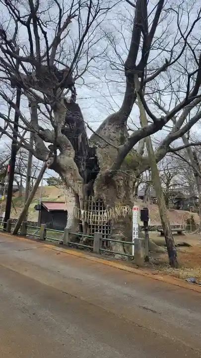 金峯神社(新潟県)