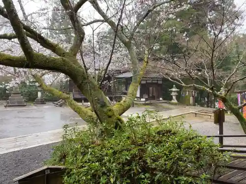 石山寺の景色