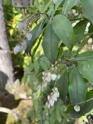 天龍寺(京都府)