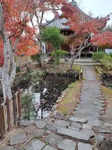 新薬師寺(奈良県)