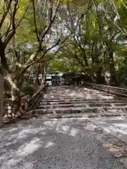 龍安寺(京都府)