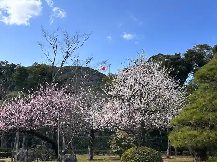 伊勢神宮内宮(皇大神宮)(三重県)