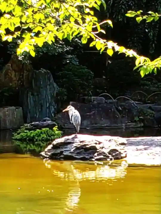 靖國神社(東京都)