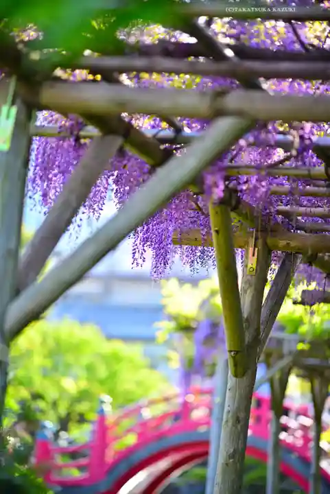 亀戸天神社(東京都)
