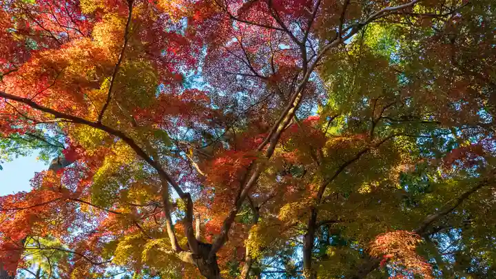 高山神社(三重県)