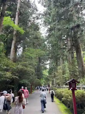 箱根神社(神奈川県)