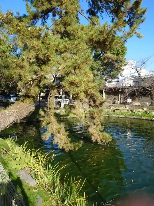 真清田神社の庭園
