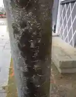 曽根神社の鳥居