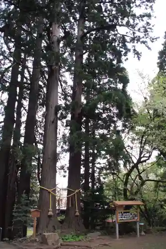 金峯神社の自然