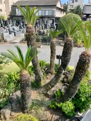 蓮馨寺(静岡県)