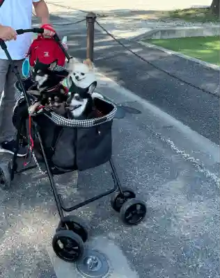 長福寿寺(千葉県)