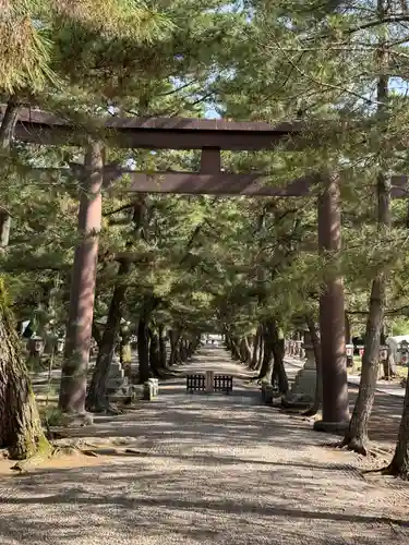 出雲大社(島根県)