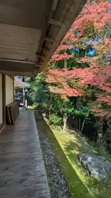 高山寺(京都府)