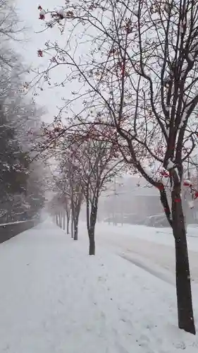 新琴似神社の周辺