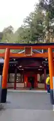 箱根神社(神奈川県)