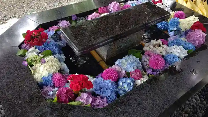 新琴似神社(北海道)