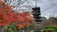 東寺（教王護国寺）(京都府)