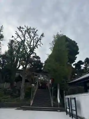 居木神社の{uncategorized: "未分類", other: "その他", undefined: "問題あり", building: "その他建物", grave: "お墓", sacred_gate: "鳥居", guardian: "狛犬", statue: "像", buddha: "仏像", history: "歴史", nature: "自然", garden: "庭園", animal: "動物", pagoda: "塔", temizu: "手水舎", mountain_gate: "山門・神門", sanctuary: "本殿・本堂", subordinate: "末社・摂社", art: "芸術", scenery: "景色", jizo: "地蔵", ema: "絵馬", goshuin: "御朱印", omikuji: "おみくじ", items: "授与品その他", amulet: "お守り", goshuincho: "御朱印帳", eats: "食事", festival: "お祭り", votive_dance: "神楽", shichigosan: "七五三参", wedding: "結婚式", experience: "体験その他", initially: "初詣", around: "周辺", anti_infection: "感染症対策"}