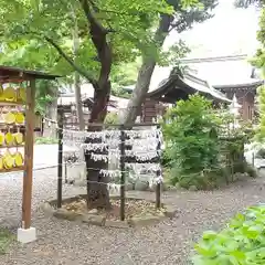 菊田神社の建物その他