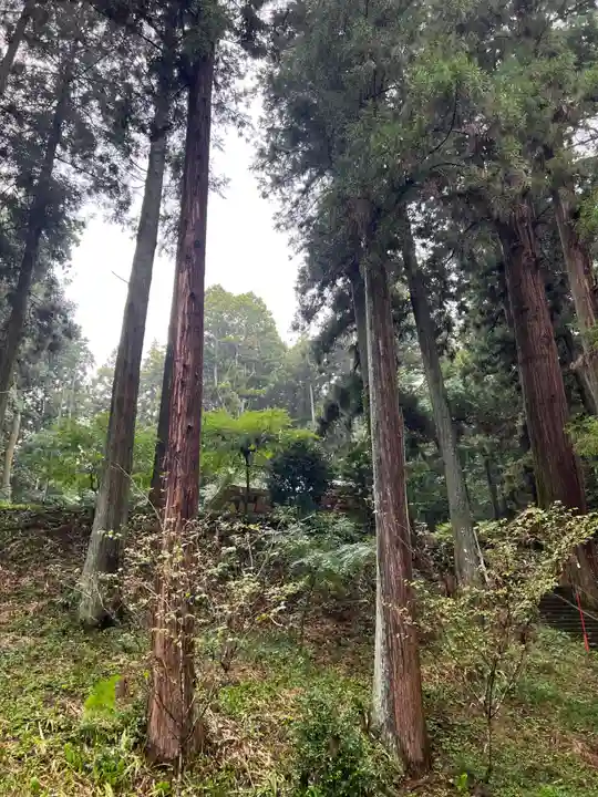 大宮温泉神社(栃木県)