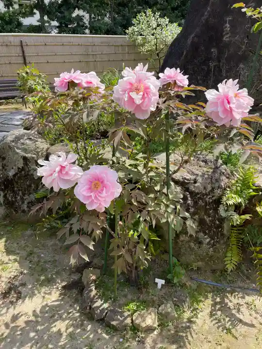 東光院(大阪府)