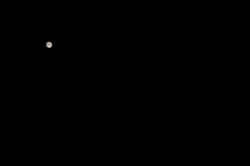 くまくま神社(導きの社 熊野町熊野神社)の自然