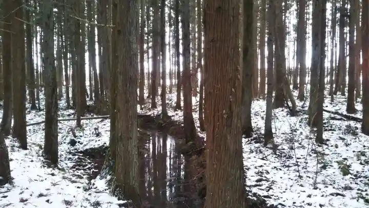 水分神社の自然