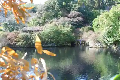 龍安寺(京都府)