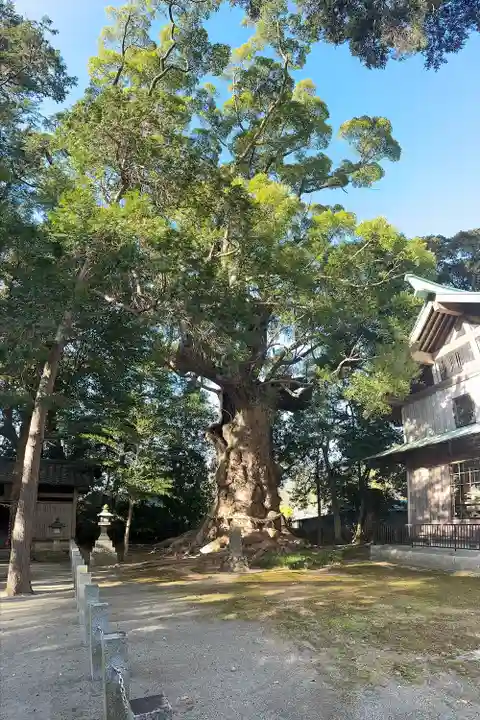 川津来宮神社(静岡県)