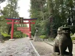 大崎八幡宮(宮城県)