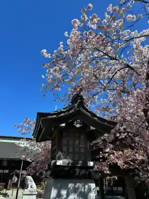 丸子神社　浅間神社の{uncategorized: "未分類", other: "その他", undefined: "問題あり", building: "その他建物", grave: "お墓", sacred_gate: "鳥居", guardian: "狛犬", statue: "像", buddha: "仏像", history: "歴史", nature: "自然", garden: "庭園", animal: "動物", pagoda: "塔", temizu: "手水舎", mountain_gate: "山門・神門", sanctuary: "本殿・本堂", subordinate: "末社・摂社", art: "芸術", scenery: "景色", jizo: "地蔵", ema: "絵馬", goshuin: "御朱印", omikuji: "おみくじ", items: "授与品その他", amulet: "お守り", goshuincho: "御朱印帳", eats: "食事", festival: "お祭り", votive_dance: "神楽", shichigosan: "七五三参", wedding: "結婚式", experience: "体験その他", initially: "初詣", around: "周辺", anti_infection: "感染症対策"}