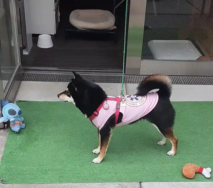 【閉業】小石川大神宮(東京都)