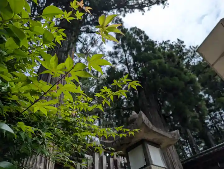 田瀬神社(岐阜県)