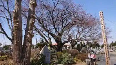 孝顕寺(茨城県)